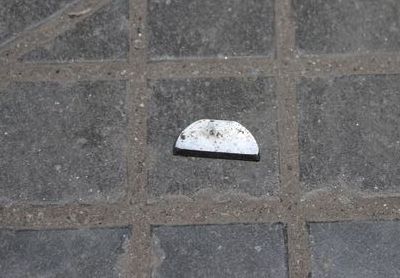 ШПОНКА РАСПРЕДВАЛА 260417