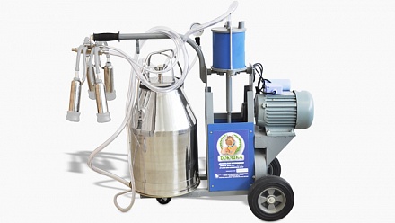 Доильная установка "ДОЮШКА" 1С