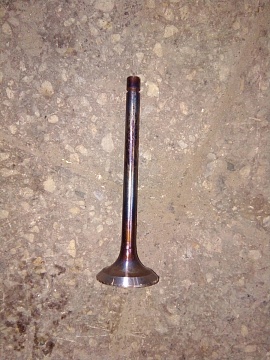 Клапан впускной МТЗ 240-1007014 большой (завод)