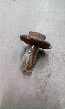 Болт стопорный Т-150 125.37.299