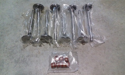 Клапан впуск/выпуск МТЗ 240-1007014/15-Б4 (8 шт) с манжетами Master Part