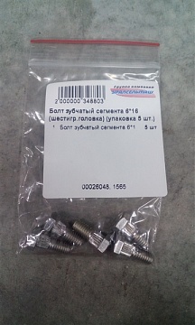 Болт зубчатый сегмента 6*16 (шест. гол.) (ШУМАХЕР) (уп. 5 шт.)