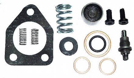 Рем. к-т ТННД (подкачка) Д-240,Д-65 (2111) полный