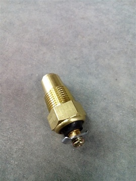 Датчик температуры ТМ-100 (под болт) АЕ