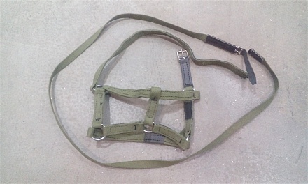 Недоуздок для жеребенка двойной тканевый