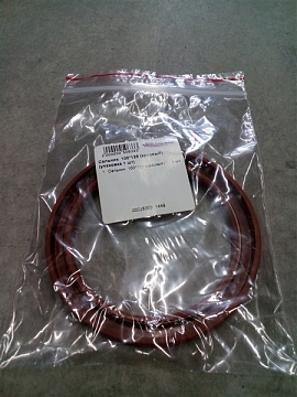 Сальник 100*125*12(FPM красный)