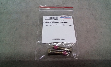 Болт зубчатый пятки 6*28 (шест. гол.) (ШУМАХЕР) (уп. 2 шт.)