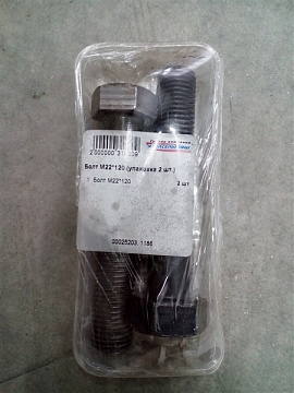 Болт М22*120 (упаковка 2 шт.)